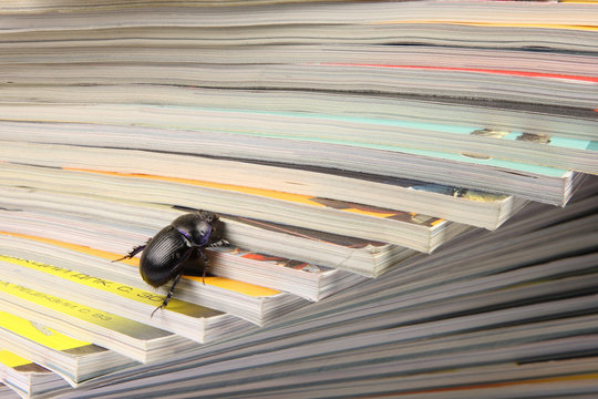 climbing for knowlage