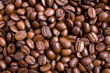 coffee beans background