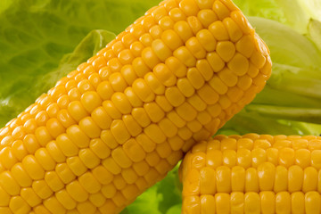 corn