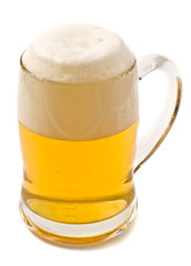 lager beer