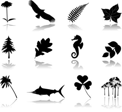 Set icons - 16. Nature