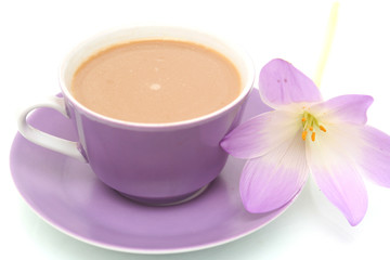 Lilac flower on a white background