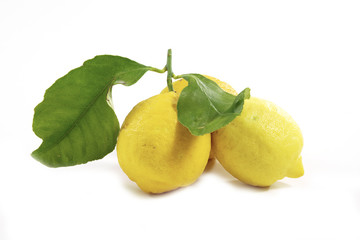Sorrento's lemons