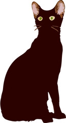 Obraz premium Silhueta de gato sagrado egípcio