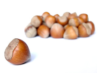 hazelnuts