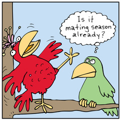 Is it mating season already?