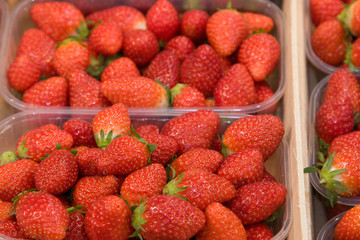 Strawberries at the Market