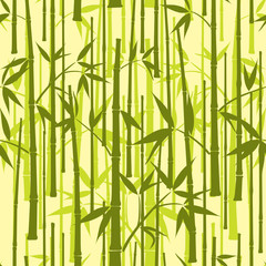 Bamboo pattern, seamless, vector illustration