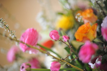 Flowers ( Bouquet de fleurs )