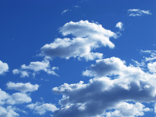 Fototapeta premium Día soleado