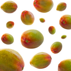 rain of mango