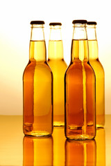 Beer Bottles