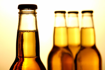 Beer Bottles