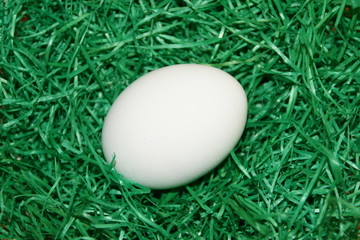 egg 2
