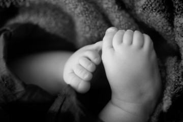 baby feet