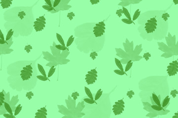 Naklejka na ściany i meble Leafy Green Design with Green Background