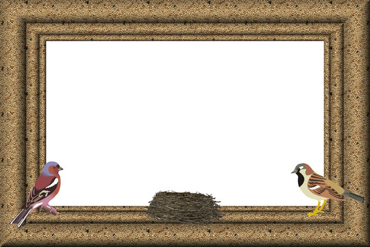cadre oiseaux
