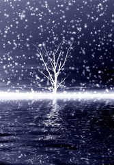 Obraz na płótnie Canvas Lonely winter tree