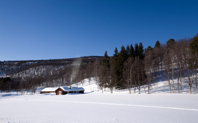 Mountain Cabin in Snow