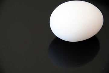 egg