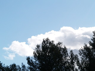Obraz premium ciel provence