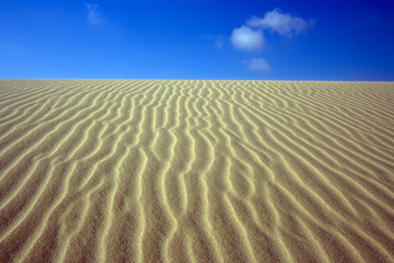 Desert