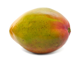 mango isolated