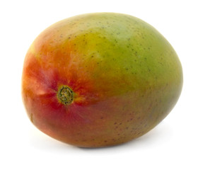mango isolated