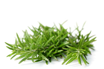 rosemary herbs on white, shallow depth of field - 6902562