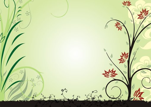 flores silvestres