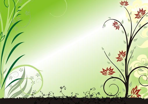 natuleza y plantas