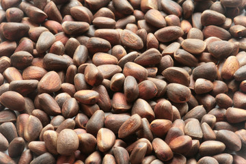 Sedar nuts.