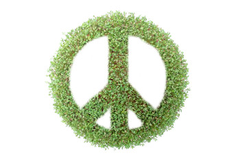 Green peace symbol