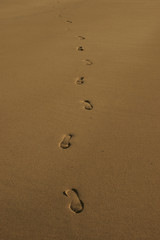 Fototapeta na wymiar footprints 2