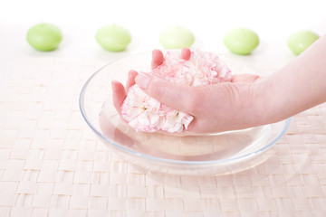 female hands in bowl full of water