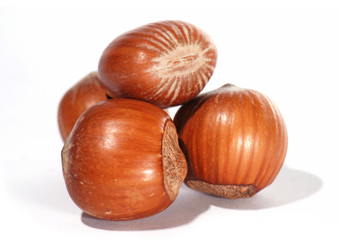 Hazelnuts isolated on white background