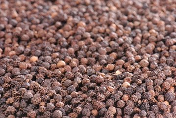 Black pepper in close-up