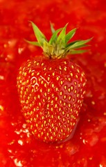 fraises sur fraises
