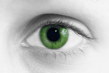 Obraz premium green eye