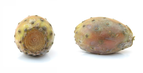 Opuntia cactus fruit prickly pear