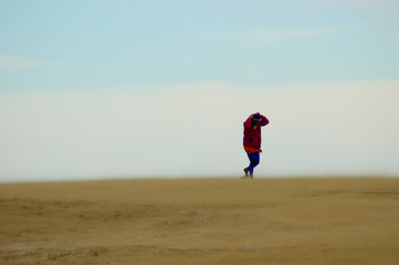 surfero