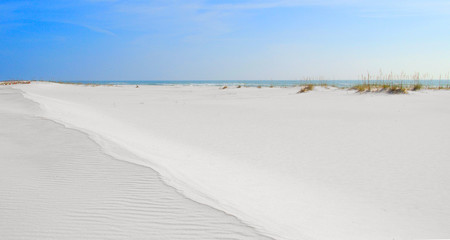 Fototapeta na wymiar Far Reaching Sand Dune