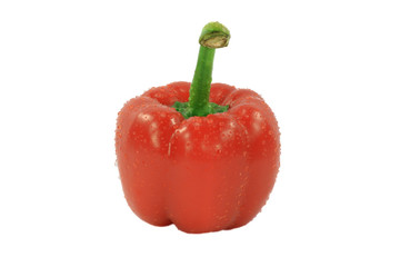 Red Pepper covered with water drops over white background.