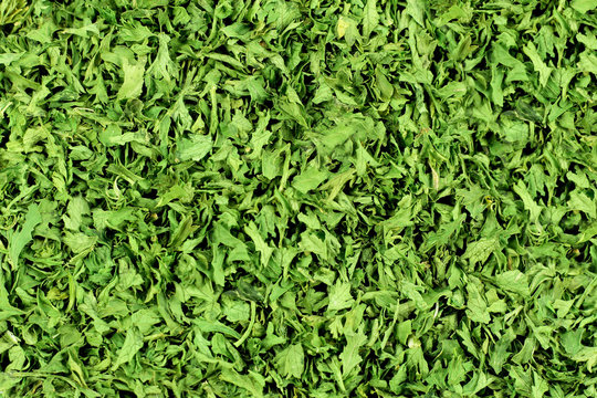 Dried Parsley Flakes - Background.