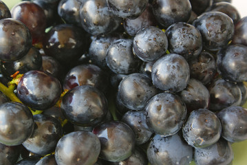Black grapes - close up