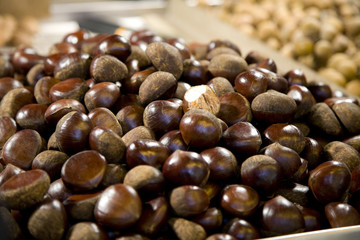 Chestnut Pile