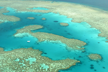 Fototapeta na wymiar Barriera corallina australiana
