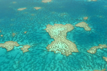 Obraz na płótnie Canvas Barriera corallina