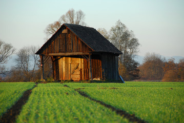 Obraz premium Holzhütte im Feld