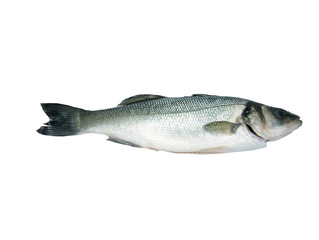 Branzino(spigola,Dicentrarchus Labrax)scontornato
